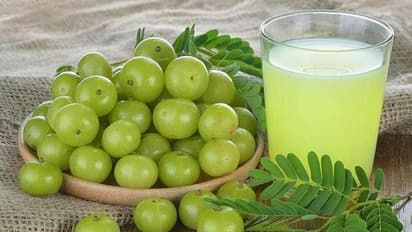 പ്രതിരോധശേഷി കൂട്ടാൻ നെല്ലിക്ക ജ്യൂസ് ; തയ്യാറാക്കേണ്ടത് ഇങ്ങനെ