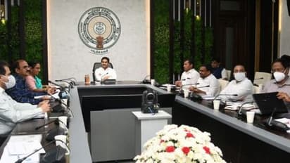 ఆక్వా యూనివర్సిటీ పనుల్లో వేగం పెంచండి..: అధికారులకు సీఎం జగన్ ఆదేశం