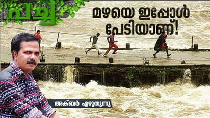 കാട് പോലെ നിഗൂഢമായിരുന്നു, ഒരിക്കല് നേര്യമംഗലത്തെ മഴ!