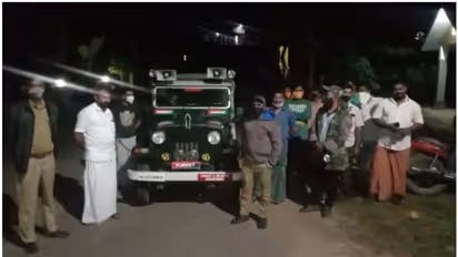 പുലിയോ കടുവയോ...? മീനങ്ങാടി ടൗണിലും കരണിപ്രദേശത്തും ആശങ്ക, പരിശോധന നടത്തി വനംവകുപ്പ്