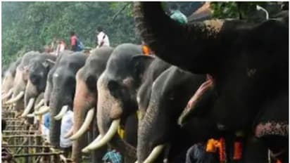 വടക്കുംനാഥ ക്ഷേത്രത്തിൽ ആനയൂട്ടിന് ആരോഗ്യവകുപ്പിന്റെ അനുമതി