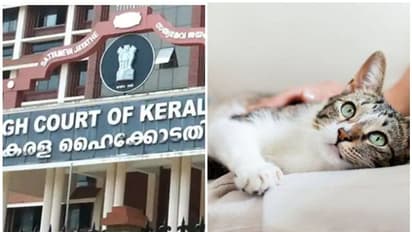 വളര്ത്തുമൃഗങ്ങള്ക്ക് ലൈസൻസ് ഏർപ്പെടുത്തൽ; നടപടികൾ വേഗത്തിലാക്കണമെന്ന് സർക്കാരിനോട് ഹൈക്കോടതി