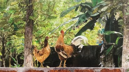 ഒരൊറ്റ ചിത്രം കൊണ്ട് തരംഗമായി ആരിഫ; ജീവന്‍ തുടിക്കുന്ന ചിത്രങ്ങള്‍ കാണാം