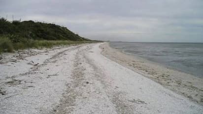 വഴക്കാളിയായ മകളെ അനുസരണ പഠിപ്പിക്കണം, ഒറ്റപ്പെട്ട ദ്വീപിലേക്ക് കടത്തി മാതാപിതാക്കൾ, ഒടുവിൽ...