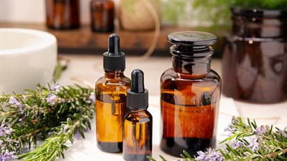 From hair health to relieving pain: Numerous benefits of rosemary oil