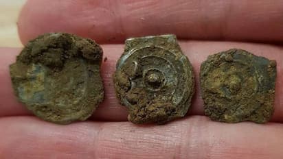 അപ്രതീക്ഷിതമായി കണ്ടെത്തിയത് അപൂർവ നാണയങ്ങൾ, ജീവിതത്തിലൊരിക്കൽ മാത്രം സംഭവിക്കുന്ന കണ്ടെത്തൽ?