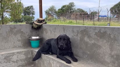 Meet Doti, the nemesis for drug trade along Line of Control