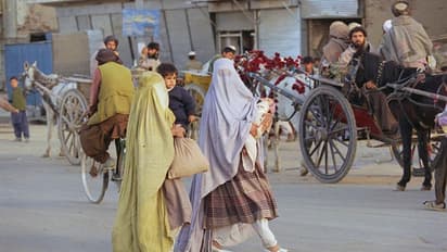 যৌনদাসী চেয়ে তালিবানি ফতোয়া - আফগান মহিলাদের জীবনে ফিরল অন্ধকার দিন, দেখুন ছবিতে ছবিতে