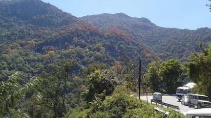 നീലഗിരിയില് പ്ലാസ്റ്റിക് ഉല്പ്പന്നങ്ങളുടെ ഉപയോഗത്തിന് സമ്പൂര്ണ നിരോധനം