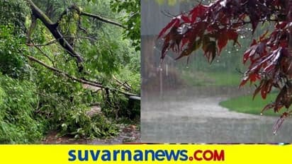 ಹಲವೆಡೆ ವರುಣನ ಅಬ್ಬರಕ್ಕೆ ಜನ ತತ್ತರ : ರಸ್ತೆ ಸಂಪರ್ಕ ಕಟ್ - ಭೂ ಕುಸಿತ