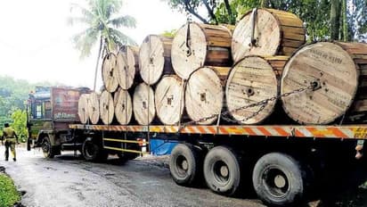 ഗൂഗിൾ മാപ്പ് ചതിച്ചു, കുത്തുകയറ്റത്തില്‍ കുടുങ്ങി കൂറ്റന്‍ ലോറി!