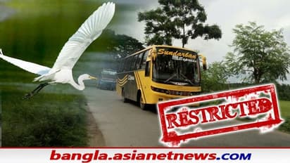 সংকটে পর্যটন, দীঘা সৈকত থেকে দার্জিলিং, করোনা গাইডলাইনের কোপ এবার বকখালি-সুন্দরবনেও