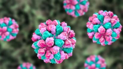 Norovirus : നോറോ വൈറസ്; തൃശ്ശൂർ ജില്ലയിൽ പ്രതിരോധ നടപടികളുമായി ആരോഗ്യവകുപ്പ്