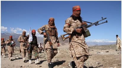 কোথা থেকে পায় এত যোদ্ধা, তালিবানদের কে দেয় টাকা - কীভাবে ২০ বছর ধরে যুদ্ধ করে গেল তারা
