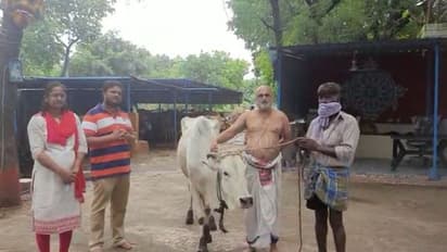 రైతుకు ఆవును బహూకరించిన చిలుకూరు బాలాజీ ఆలయం.. (వీడియో)