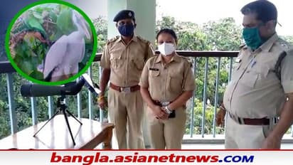 দূরের পাখি এবার আপনার আরও কাছে, মনোকুলার চালু হল রায়গঞ্জর কুলিক পক্ষীনিবাসে