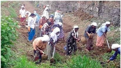 മഹാത്മാഗാന്ധി ദേശീയ ഗ്രാമീണ തൊഴിലുറപ്പ് പദ്ധതി കരാർ വ്യവസ്ഥയിൽ തൊഴിലവസരം; നവംബർ 15 നകം അപേക്ഷ