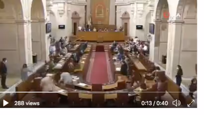 Viral video: Spanish politicians scramble after rat enters Parliament