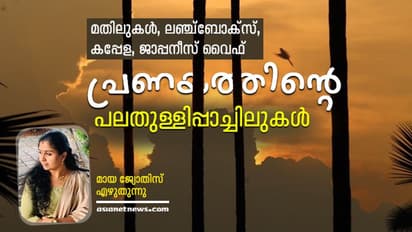 മതിലുകളിലെ നാരായണിയില്നിന്നും കപ്പേളയിലെ ജെസിയിലേക്കുള്ള ദൂരം
