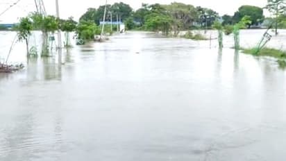 గోదావరి, శబరి నదులకు పోటెత్తిన వరద: మూడు రాష్ట్రాలకు రాకపోకలు బంద్