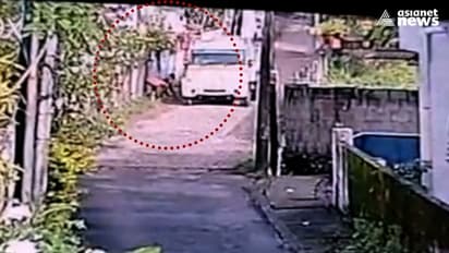 കാക്കനാട് തെരുവുനായകളെ കൊന്ന സംഭവത്തിൽ ദുരൂഹത; അന്വേഷണം പുരോഗമിക്കുന്നു