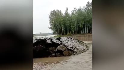 জল ফুঁড়ে বেরিয়ে আসছে বিশাল বড় মাটির চাঁই, দেখুন অবাক করা ভাইরাল ভিডিও