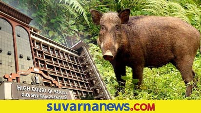 ಕಾಡು ಹಂದಿ ಹಿಡಿಯಲು ಹಾಕಿದ್ದ ವಿದ್ಯುತ್ ತಂತಿಗೆ ಸಿಲುಕಿ ಇಬ್ಬರು ಪೊಲೀಸರು ಸಾವು