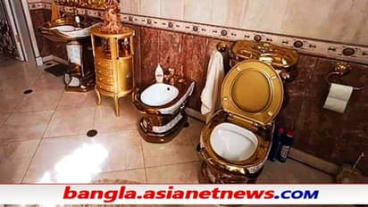 ঘুষের টাকায় পুলিশের বাড়িতে সোনার কমোড - শোওয়ার ঘর-রান্নাঘরও সোনায় মোড়া, দেখুন ভিডিও