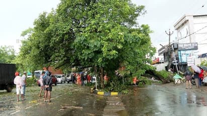 കൊച്ചിയിൽ ഓടിക്കൊണ്ടിരുന്ന കാറിന് മുകളിൽ മരം കടപുഴകി വീണു