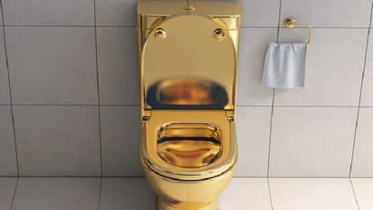 അടുക്കളയിലും കക്കൂസിലും വരെ സ്വര്ണം; ആഡംബര ബംഗ്ലാവിന്റെ വീഡിയോ വൈറലാകുന്നു