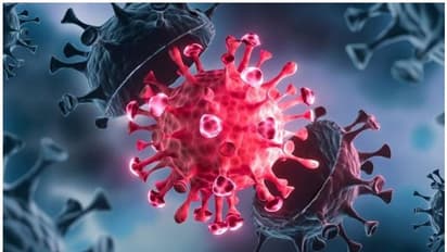 Vaccine highly efficient against Delta variant with 92% for people aged 50-75, suggests study