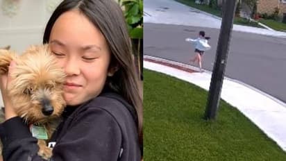 ഉടമയെ രക്ഷിക്കാന്‍ കയോട്ടിയോടേറ്റുമുട്ടി നായ, ഗുരുതര പരിക്കും, സ്നേഹവും ധൈര്യവും പ്രശംസിച്ച് സോഷ്യല്‍മീഡിയ