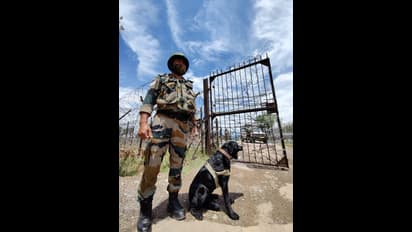 పాక్ వక్రబుద్ధి.. భారత్లో టిఫిన్ బాంబ్కు ఐఎస్ఐ ప్లాన్.. అలర్ట్ జారీ చేసినట్టు నిఘా వర్గాల వెల్లడి