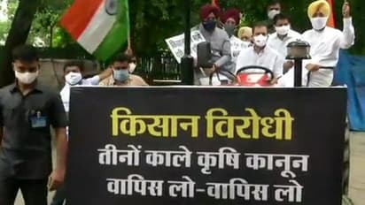 मानसून सत्र: ट्रैक्टर चलाकर संसद पहुंचे राहुल गांधी; हंगामे पर बोले स्पीकर-आपको जनता ने चुनकर भेजा है