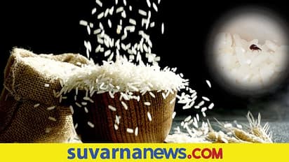 ಪಡಿತರ ಅಕ್ಕಿಯಲ್ಲಿ ಪ್ಲಾಸ್ಟಿಕ್ ಅಕ್ಕಿ ವಿತರಣೆ ಆರೋಪ