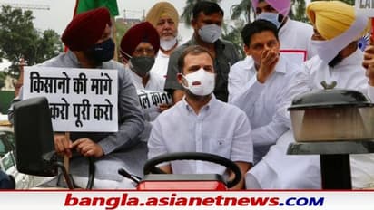 মুখে স্লোগান হাতে ট্র্যাক্টরের স্টিয়ারিং, রাহুল গান্ধীর সংসদ যাত্রার ভিডিওটি দেখুন