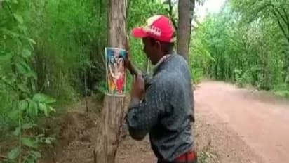മരങ്ങൾ വെട്ടിമാറ്റുന്നത് തടയണം, മരത്തിൽ ഭഗവാൻ ശിവന്റെ ചിത്രങ്ങൾ പതിച്ച് പരിസ്ഥിതി പ്രവർത്തകൻ