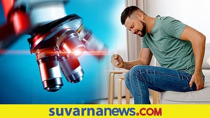 ಪೈಲ್ಸ್ ಇರೋರು ಆಲೂಗಡ್ಡೆ ಸೇವಿಸಬಹುದಾ?