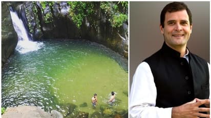 ലോക പ്രകൃതി സംരക്ഷണ ദിനത്തില് കരുവാരകുണ്ടിലെ സുന്ദര ദൃശ്യങ്ങള് പങ്കുവെച്ച് രാഹുല്ഗാന്ധി