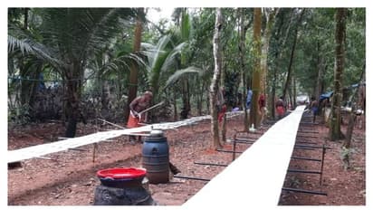 ബാലരാമപുരം കൈത്തറി; ഓണക്കാലത്തും ദുരിതം തീരാതെ ബാലരാമപുരത്തെ പാക്കളങ്ങള്