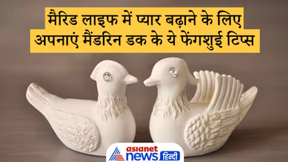 बेडरूम में रखें मैंडरिन डक का जोड़ा, इससे पति-पत्नी में बढ़ता है प्रेम और खत्म हो सकते हैं विवाद