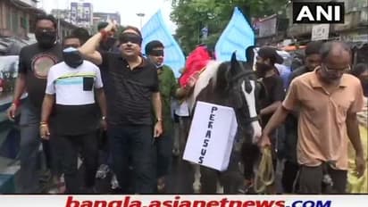 'পেগাসাসের বিষ ছড়াচ্ছে BJP', কালো কাপড় বেঁধে কালো ঘোড়ায় রাজপথে প্রতিবাদ মদনের