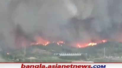 ২ দিনের দাবানলের গ্রাসে উজাড় তুরস্কের গ্রাম থেকে শহর, দেখুন সেই ভয়ঙ্কর ভিডিওটি