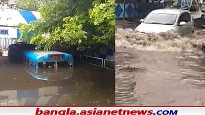 রাত পেরোলেই পুরভোট, খারাপ রাস্তা-বন্যা থেকে মুক্তি চাইছে বিধাননগর