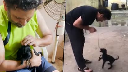 Meet Sachin Tendulkar's new furry friend Spike; watch heartwarming video