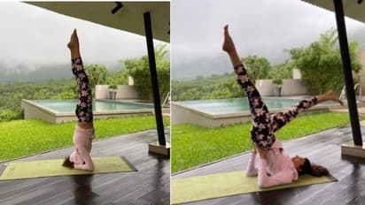 പ്രകൃതി ഭംഗിയും യോഗയും;  ചിത്രങ്ങളുമായി നടി