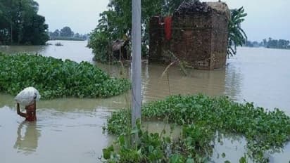 হু হু করে জল ফুলছে ময়ূরাক্ষী-কূয়ে নদীতে, গ্রামের পর গ্রাম ফাঁকা করে পালাচ্ছেন বাসিন্দারা