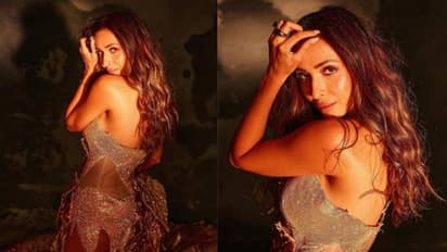 Fitness queen Malaika Arora's style diary decoded, take a look at her 5 wardrobe staples