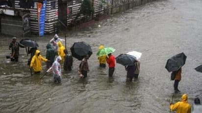 আজ সকালেই ৮ জেলায় প্রবল বর্ষণ, সোমবার থেকে উত্তরবঙ্গে অতি ভারী বৃষ্টির সতর্কতা