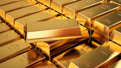 Koppal ನಾರಿನಾಳ ಗ್ರಾಮದಲ್ಲಿ ಚಿನ್ನದ ನಿಕ್ಷೇಪ ಪತ್ತೆ! ರೈತರ ಜಮೀನಿಗೆ ಭಾರಿ ಬೇಡಿಕೆ ಚರ್ಚೆ